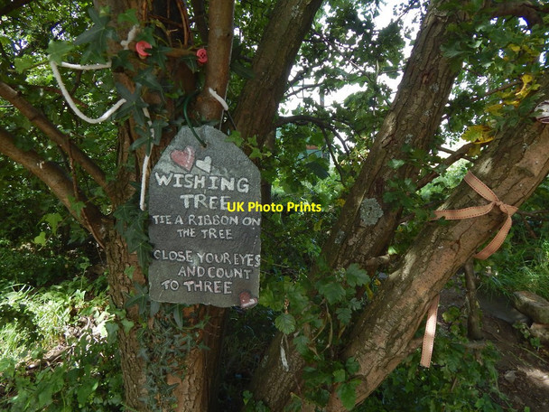 Photo 6"x4" Wishing tree, Dumbarton foreshore Dumbarton c2017