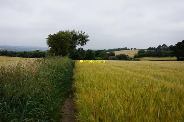 Photo 6"x4" Path leading to Hartshead Lane Liversedge c2017