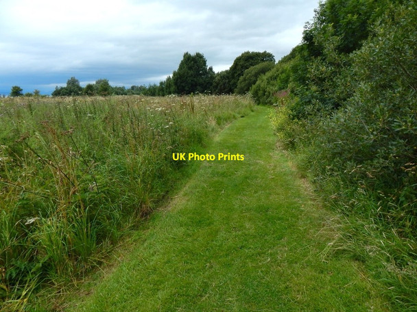 Photo 6"x4" Path in Havoc Grassland Dumbarton c2017