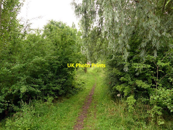 Photo 6"x4" Footpath to Thorne Waste Moorends c2017