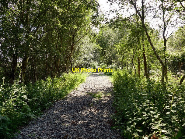 Photo 6"x4" Track on Crowle Waste Crowle Hill c2017