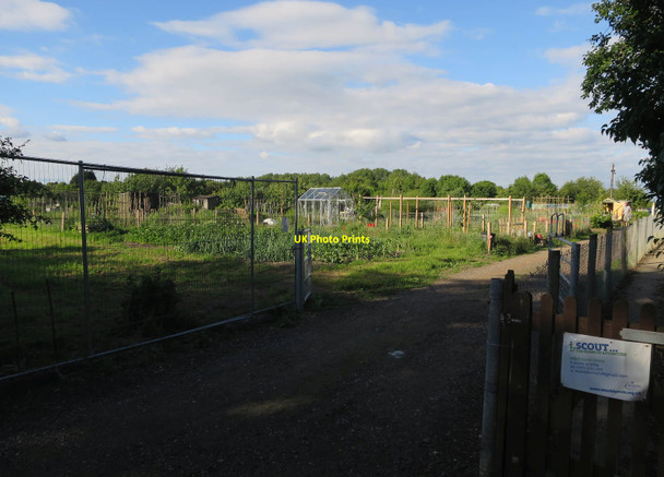 Photo 6"x4" Allotments, Duxford Duxford\/TL4745 c2017