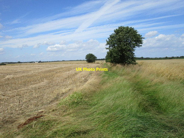 Photo 6"x4" Bridleway to Sproatley Elstronwick c2017