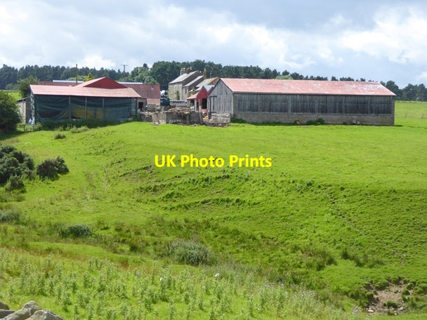 Photo 6"x4" Steel Hall Farm Rawgreen c2017