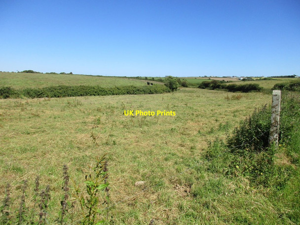 Photo 6"x4" Rough grassland near Churchtown South Churchtown\/W9463 c2017