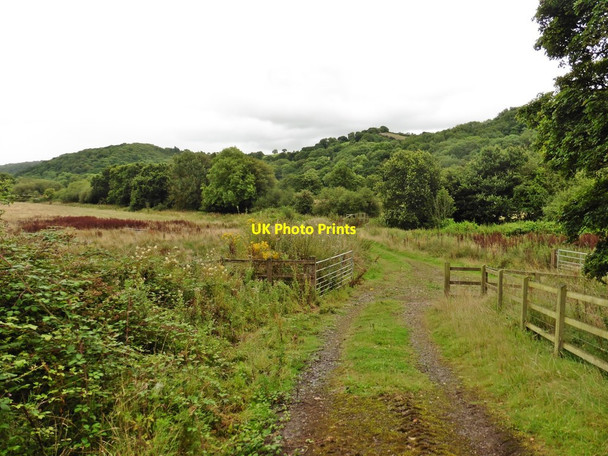 Photo 6"x4" Track to former farm railway crossing at Lower Yearlstone Bickleigh\/SS9407 c2017