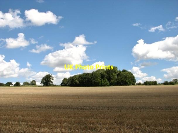 Photo 6"x4" Copse surrounding a small pond east of Wash Lane Alpington c2017