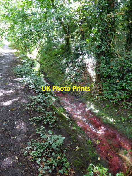 Photo 6"x4" A red stream bed Hawkwell\/TQ8591 c2017