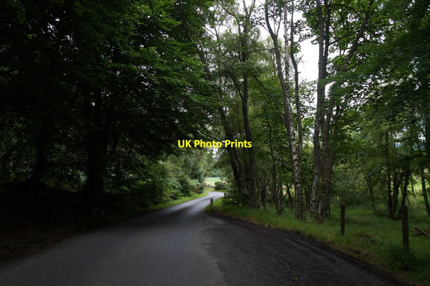 Photo 6"x4" Road at Fanellen Kilmorack c2017