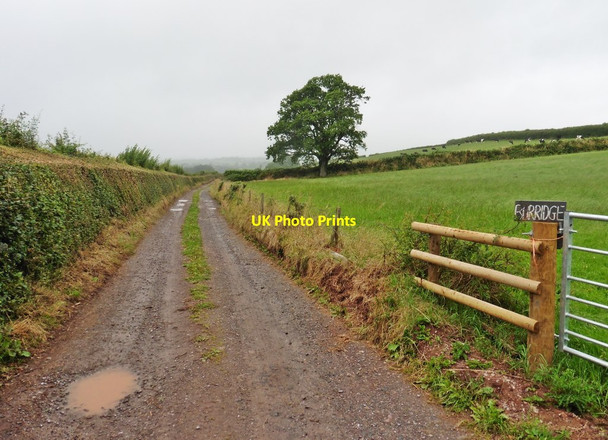 Photo 6"x4" Track to Burridge Cotteylands c2017