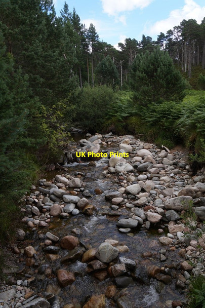 Photo 6"x4" Allt Ban, Glen More Allt B\u00e0n\/NH9909 c2017