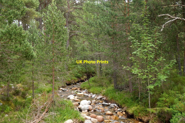 Photo 6"x4" Allt na Ciste in Glen More Glen More\/NH9809 c2017