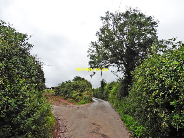 Photo 6"x4" Ridge Lane Tiverton\/SS9512 c2017