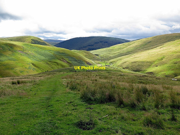 Photo 6"x4" View toward Buckham's Bridge from Eald Rigg Fulhope c2017