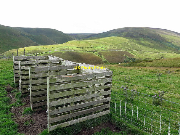 Photo 6"x4" Sheep pens above Fulhope Fulhope c2017