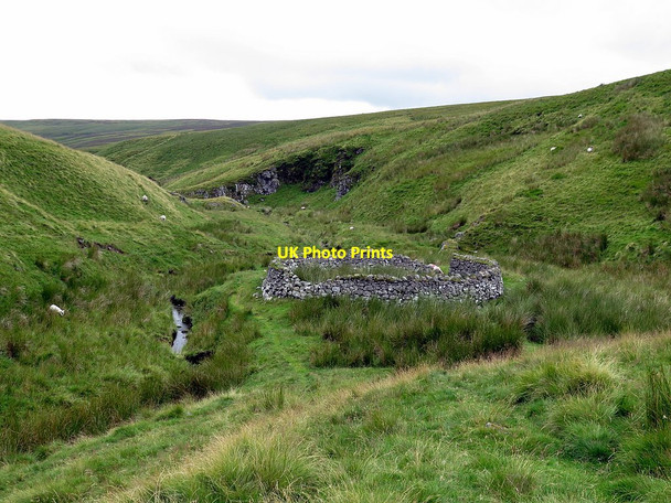 Photo 6"x4" Sheepfold by Rennies Burn Rennies Burn c2017