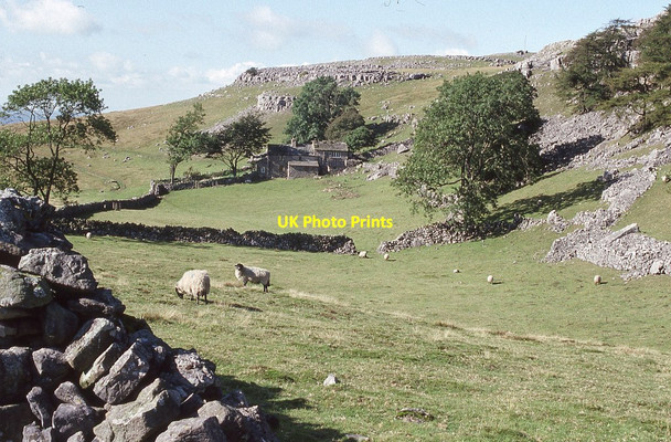 Photo 6"x4" Two enclosed fields at Crina Bottom Cold Cotes\/SD7171 c1990