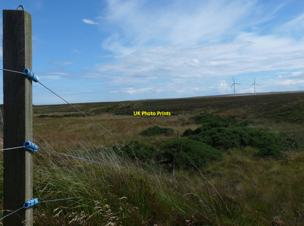 Photo 6"x4" Fence above Gill Burn, Caithness Freswick c2017