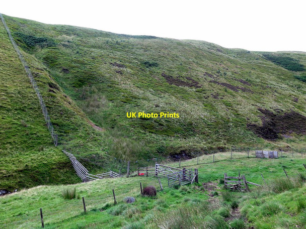 Photo 6"x4" New fence on slopes of Yearning Law above Blind Burn Blind Burn c2017