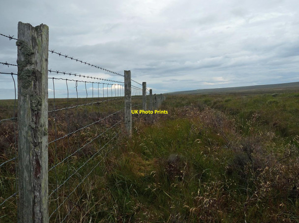 Photo 6"x4" Fence on moorland to the north of Stroupster, Caithness Freswick c2017