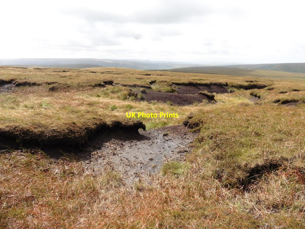 Photo 6"x4" Tooleyshaw Moss Holme\/SE1005 c2017