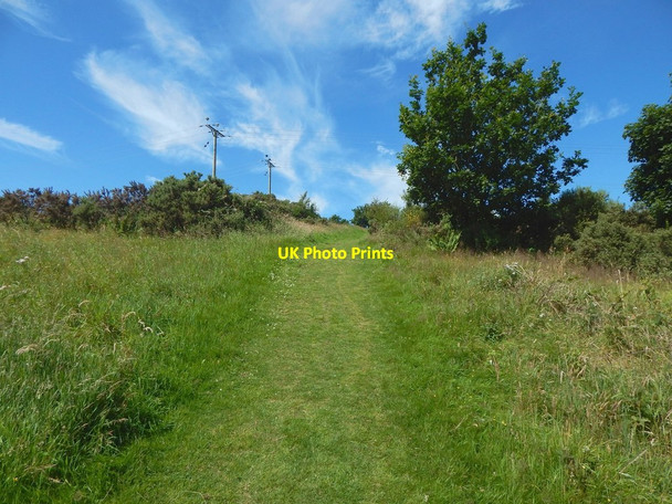 Photo 6"x4" Path to Whinhill Reservoir Greenock\/NS2776 c2017