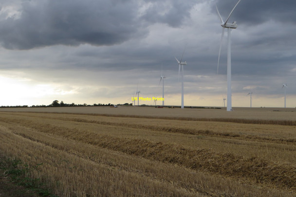 Photo 6"x4" Harvesting under the turbines Balsam c2017