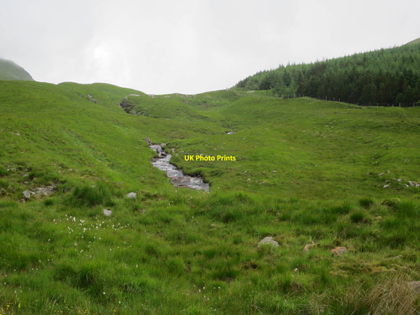 Photo 6"x4" Stream and conifer plantation Clifton\/NN3230 c2017