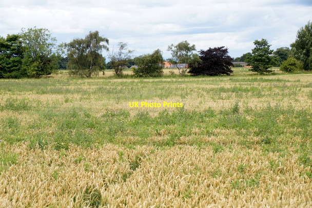 Photo 6"x4" Fields near Wallyford Musselburgh c2017
