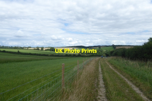 Photo 6"x4" Track leading to Crambe Crambe c2017