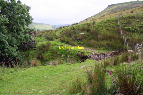 Photo 6"x4" Ford on track crossing Hazel Gill Shoregill c2017