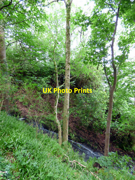 Photo 6"x4" The Halket Burn Skelmorlie c2017 P1