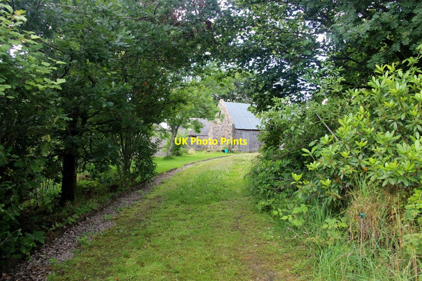Photo 6"x4" Tree lined driveway to Howmill Lumsden c2017