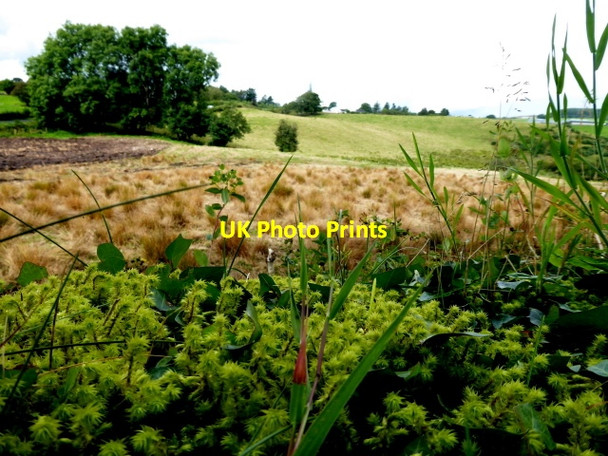 Photo 6"x4" Rushy ground, Envagh Drumquin c2017