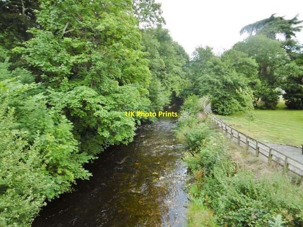 Photo 6"x4" Dolywern, Afon Ceiriog Llwynmawr\/SJ2237 c2017