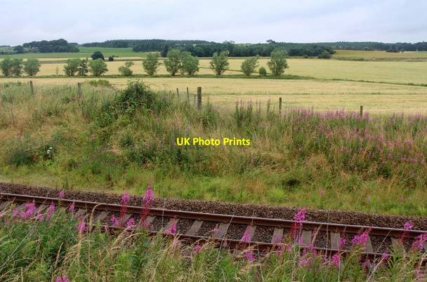 Photo 6"x4" The railway north out of Aberdeen near Kintore Kintore c2017