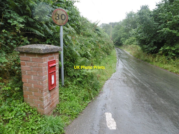 Photo 6"x4" Dolywern, postbox Dolywern c2017