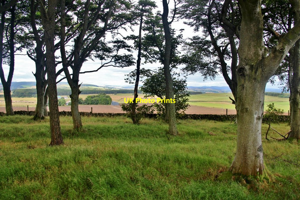 Photo 6"x4" View over rural Aberdeenshire through shelterbelt Sittyton c2017