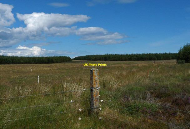 Photo 6"x4" Junction of fences, Scoolary, Caithness Upper Gills c2017