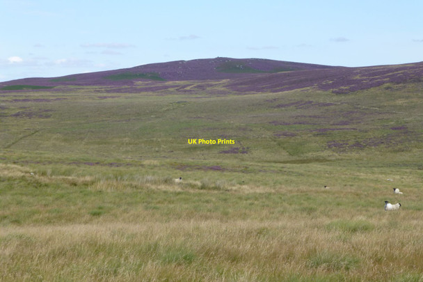 Photo 6"x4" View north east from Landshot Hill Elsdon\/NY9393 c2017