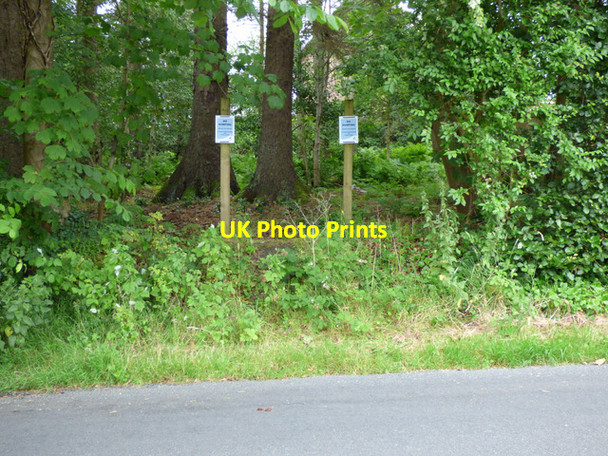 Photo 6"x4" No Dumping signs Skelmorlie c2017 P1
