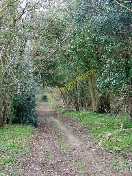 Photo 6"x4" Footpath to Cobley Farm Cobley\/SU0220 c2009
