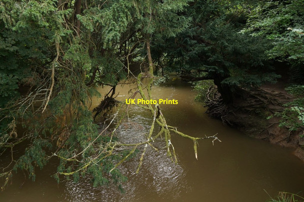 Photo 6"x4" River Mole at Box Hill Dorking c2017