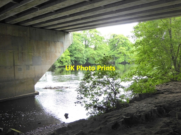 Photo 6"x4" Underneath the motorway bridge Low Coniscliffe c2017