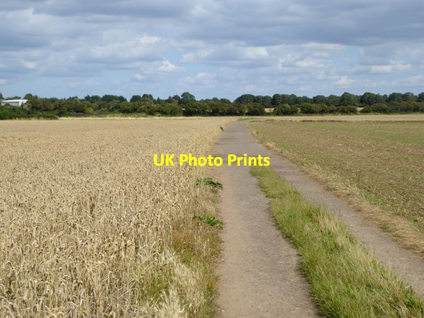 Photo 6"x4" Farm track near Merrybent Merrybent c2017