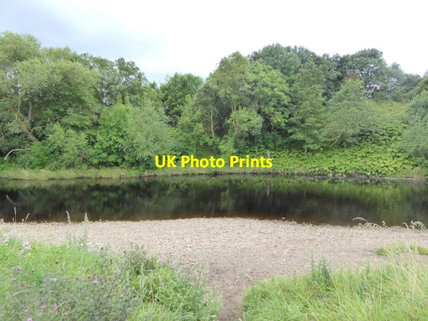Photo 6"x4" River Tees near Cleasby Cleasby c2017
