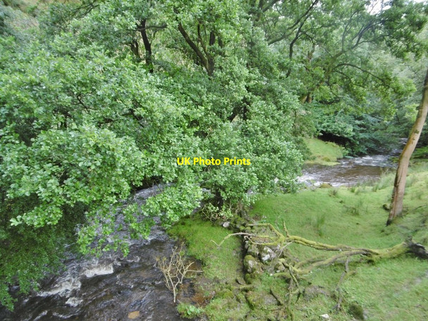 Photo 6"x4" Tyn-y-ffridd, Afon Iwrch Llanarmon Mynydd-mawr c2017