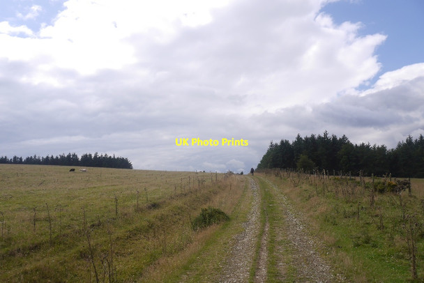 Photo 6"x4" The road on Stow Hill Stowe\/SO3173 c2017