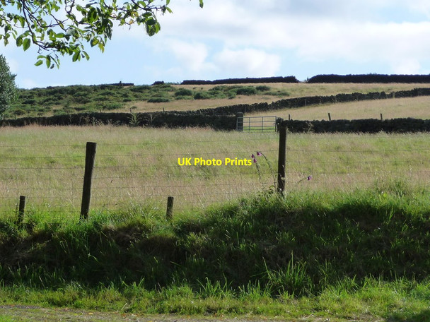 Photo 6"x4" Field boundaries near Cuckoostone House Farley\/SK2961 c2017