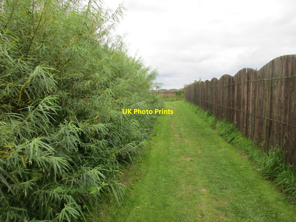 Photo 6"x4" Bridleway at Double Gates Hornsea c2017